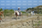 Mare.Gruppo3.equiraduno.17.09.23-9683