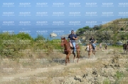 Mare.Gruppo3.equiraduno.17.09.23-9700